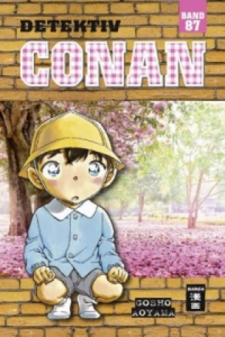 Kniha Detektiv Conan. Bd.87 Gosho Aoyama