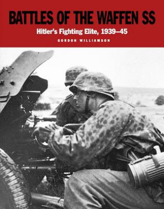 Kniha Battles of the Waffen-Ss Gordon Williamson