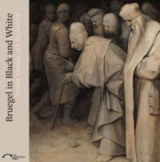 Kniha Bruegel in Black and White Karen Serres