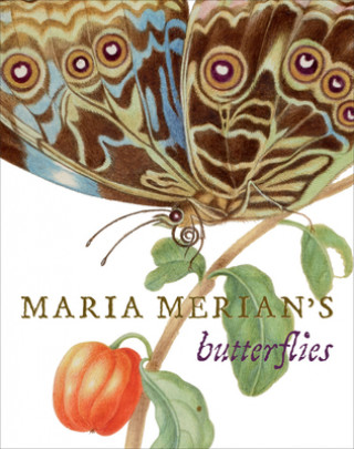 Kniha Maria Merian's Butterflies Kate Heard