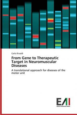 Knjiga From Gene to Therapeutic Target in Neuromuscular Diseases Rinaldi Carlo