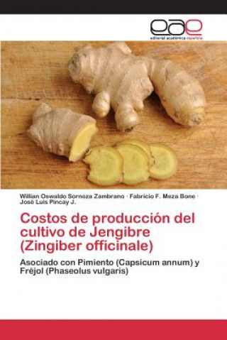Kniha Costos de produccion del cultivo de Jengibre (Zingiber officinale) Sornoza Zambrano Willian Oswaldo