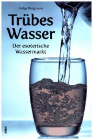 Kniha Trübes Wasser Helge Bergmann