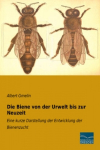 Buch Die Biene von der Urwelt bis zur Neuzeit Albert Gmelin