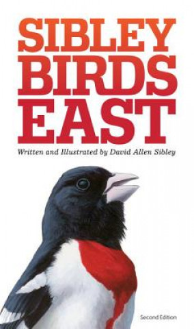 Książka Sibley Field Guide to Birds of Eastern North America David Sibley