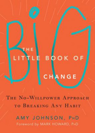 Kniha Little Book of Big Change Amy Johnson