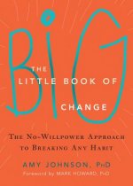 Könyv Little Book of Big Change Amy Johnson