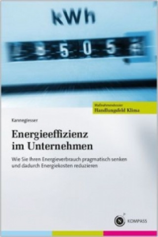 Kniha Energieeffizienz im Unternehmen Matthias Kannegiesser