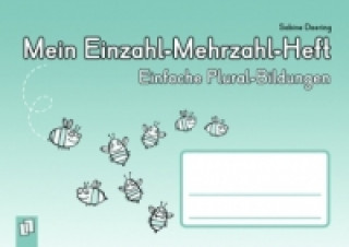 Kniha Mein Einzahl-Mehrzahl-Heft Sabine Doering