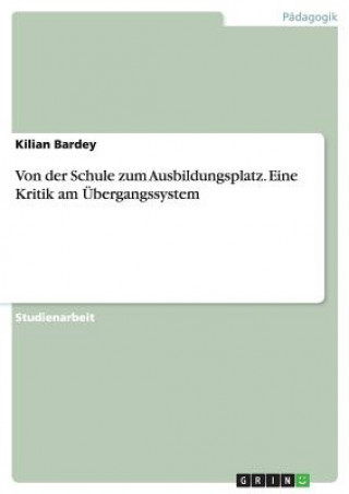 Kniha Von der Schule zum Ausbildungsplatz. Eine Kritik am Übergangssystem Kilian Bardey