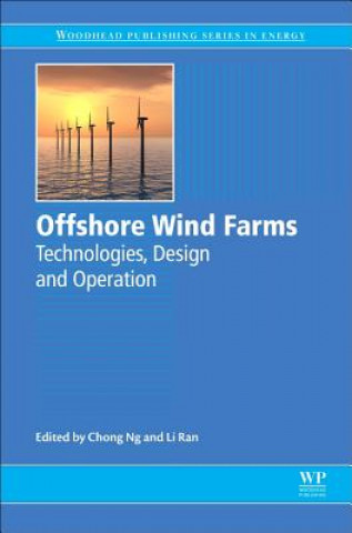 Buch Offshore Wind Farms Chong N G