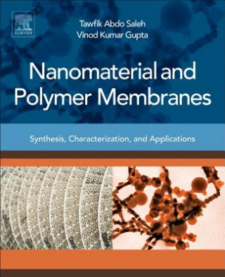 Kniha Nanomaterial and Polymer Membranes Tawfik Saleh