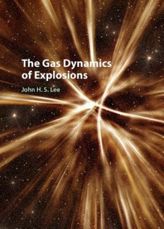 Книга Gas Dynamics of Explosions John H. S. Lee