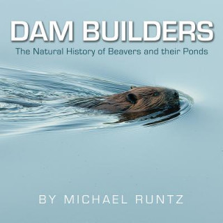 Könyv Dam Builders Michael Runtz