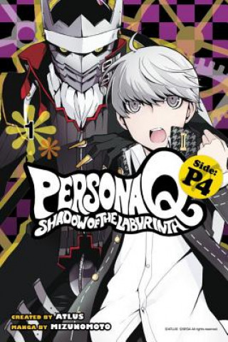 Kniha Persona Q: Shadow Of The Labyrinth Side: P4 Volume 1 Mizunomoto