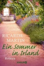 Carte Ein Sommer in Irland Ricarda Martin