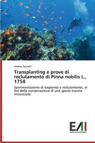 Kniha Transplanting e prove di reclutamento di Pinna nobilis L., 1758 Spinelli Andrea