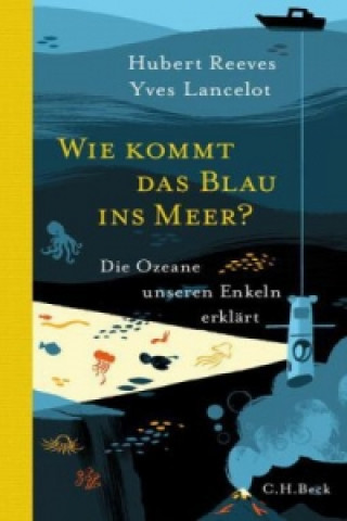 Könyv Wie kommt das Blau ins Meer? Hubert Reeves