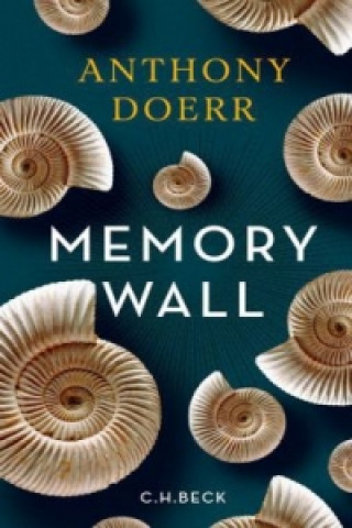 Kniha Memory Wall Anthony Doerr