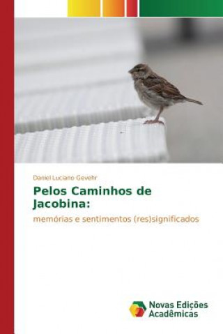 Книга Pelos Caminhos de Jacobina Gevehr Daniel Luciano