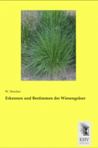 Carte Erkennen und Bestimmen der Wiesengräser W. Strecker