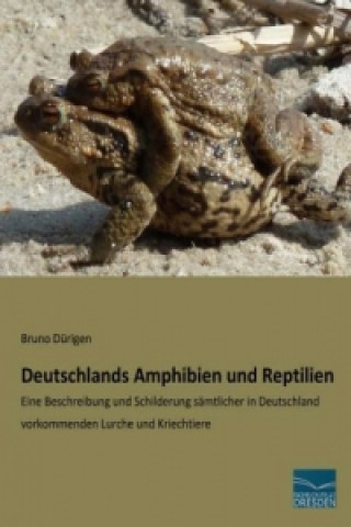 Carte Deutschlands Amphibien und Reptilien Bruno Dürigen