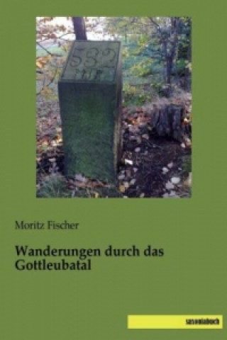 Kniha Wanderungen durch das Gottleubatal Moritz Fischer