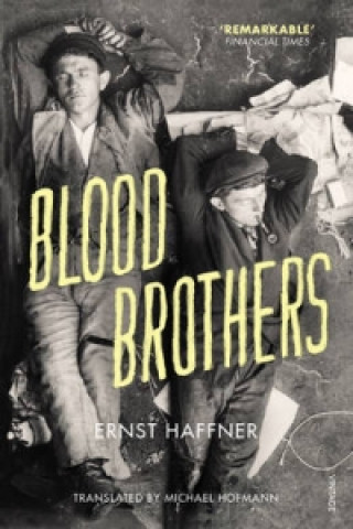 Könyv Blood Brothers Ernst Haffner