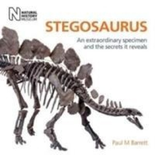 Könyv Stegosaurus Paul Barrett