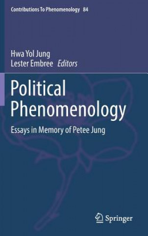 Kniha Political Phenomenology Hwa Yol Jung