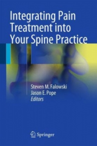 Carte Integrating Pain Treatment into Your Spine Practice Steven M. Falowski