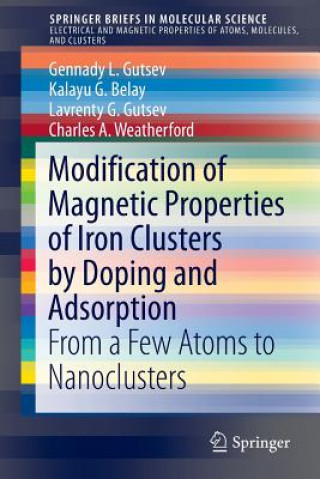 Livre Modification of Magnetic Properties of Iron Clusters by Doping and Adsorption Gennady L. Gutsev