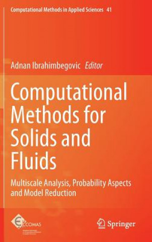 Książka Computational Methods for Solids and Fluids Adnan Ibrahimbegovic