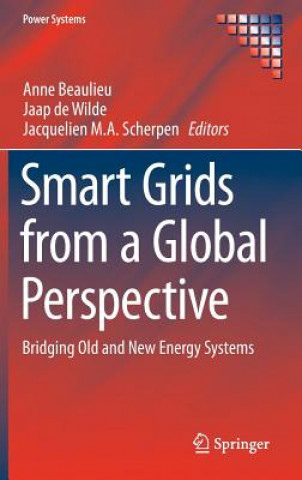 Kniha Smart Grids from a Global Perspective Anne Beaulieu