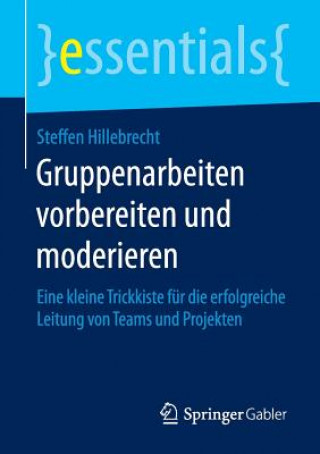 Knjiga Gruppenarbeiten Vorbereiten Und Moderieren Steffen Hillebrecht