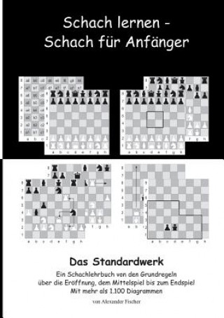 Knjiga Schach lernen - Schach fur Anfanger - Das Standardwerk International Stereotactic Radiosurgery Society