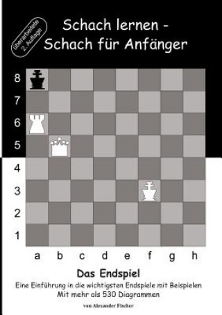 Kniha Schach lernen - Schach fur Anfanger - Das Endspiel Alexander Fischer