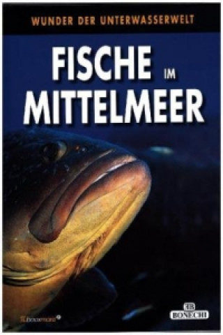 Kniha Fische im Mittelmeer Andrea Ghisotti