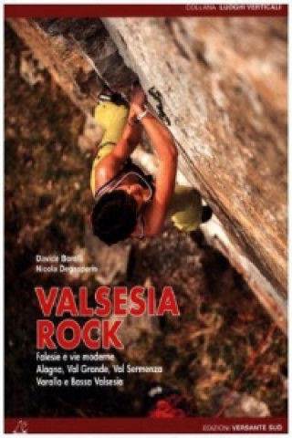 Книга Valsesia Rock Davide Borelli