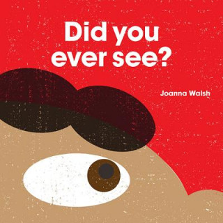 Buch Did You Ever See? Joanna Walsh