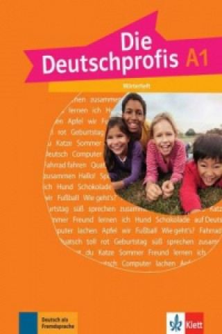 Könyv Die Deutschprofis 