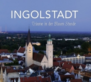 Kniha Ingolstadt Gerd Treffer