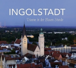 Książka Ingolstadt Gerd Treffer