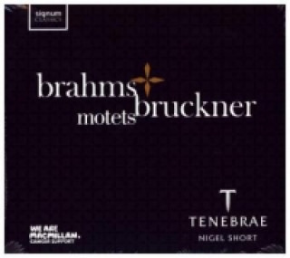 Audio Motteten, 1 Audio-CD Anton Bruckner