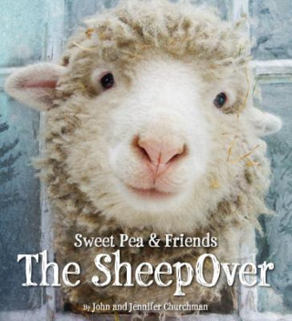 Könyv SheepOver John Churchman