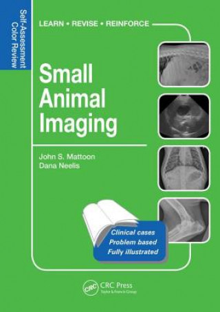Książka Small Animal Imaging John S. Mattoon