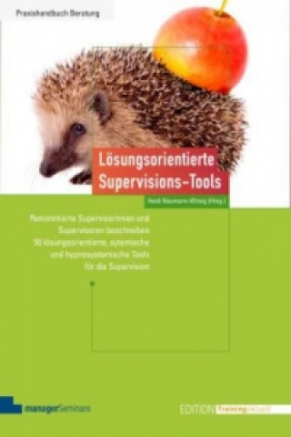 Carte Lösungsorientierte Supervisions-Tools Heidi Neumann-Wirsig