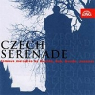 Audio Česká serenáda - výběr /Suk - Dvořák - CD Versch. Orch. & Dirigenten