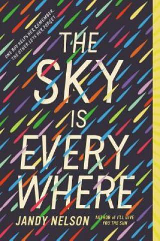 Könyv Sky is Everwhere Jandy Nelson