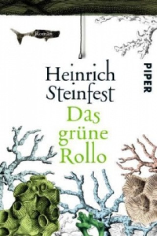 Kniha Das grüne Rollo Heinrich Steinfest